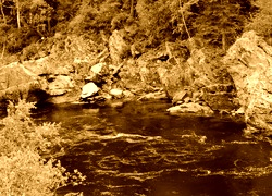Sepia