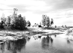 Szary + Sepia