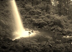 Sepia