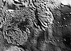 Skamielina
