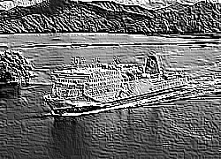 Skamielina