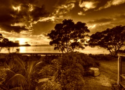 Sepia