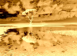 Sepia + Negatyw
