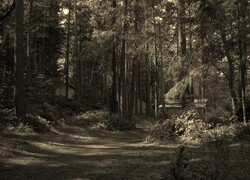 Sepia
