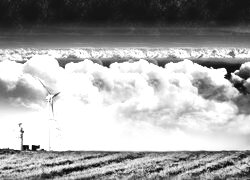 Szary + Sepia