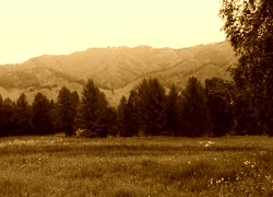 Sepia
