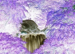 Negatyw