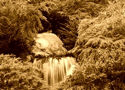 Sepia
