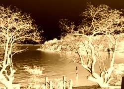 Sepia + Negatyw