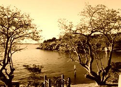 Sepia