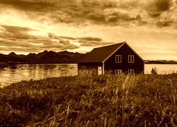 Sepia