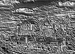Skamielina