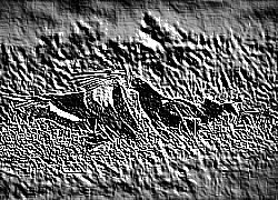 Skamielina