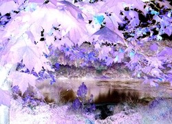 Negatyw
