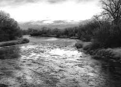 Szary + Sepia