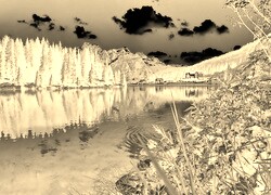 Sepia + Negatyw