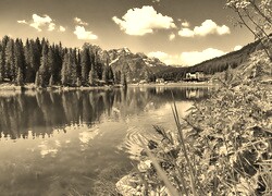 Szary + Sepia