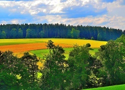 Oryginalny obrazek