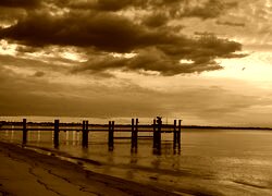 Sepia