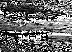 Skamielina