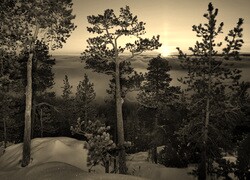 Szary + Sepia