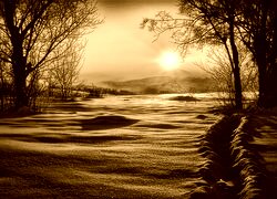 Sepia