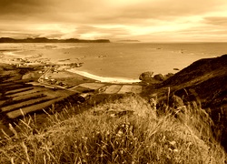 Sepia