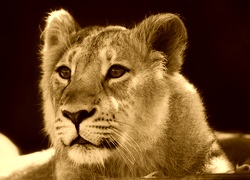 Sepia