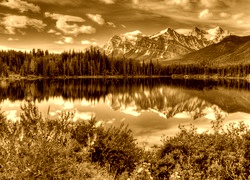 Sepia