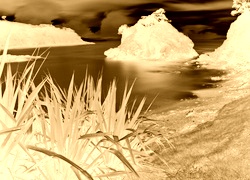 Sepia + Negatyw