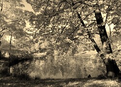 Szary + Sepia