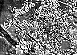 Skamielina