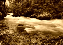 Sepia
