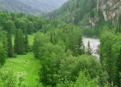 Oryginalny obrazek