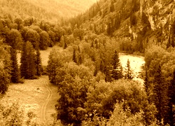 Sepia