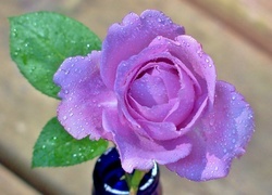 Oryginalny obrazek