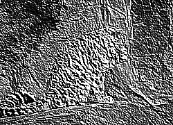 Skamielina