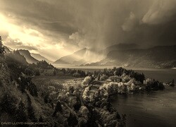 Sepia
