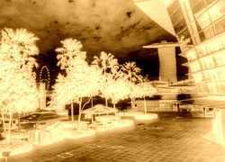 Sepia + Negatyw