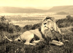 Sepia