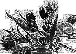 Skamielina