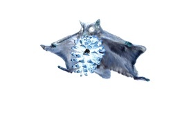Negatyw
