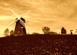 Sepia
