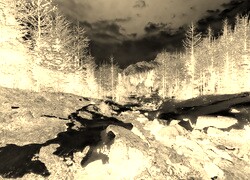 Sepia + Negatyw