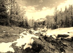 Sepia
