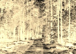 Sepia + Negatyw
