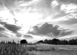 Szary + Sepia