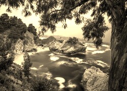 Szary + Sepia