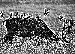 Skamielina