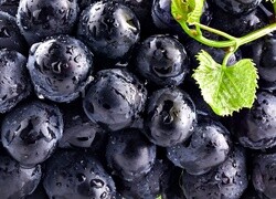 Oryginalny obrazek
